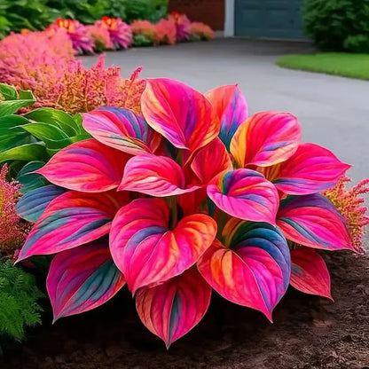 🌿Semillas de Hosta - Galaxia azul de Dios💖🔥1 paquete - 100 semillas Aprox. (5 gr.)