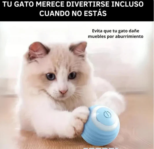 PELOTA INTERACTIVA PARA MASCOTA - ENVIO GRATIS